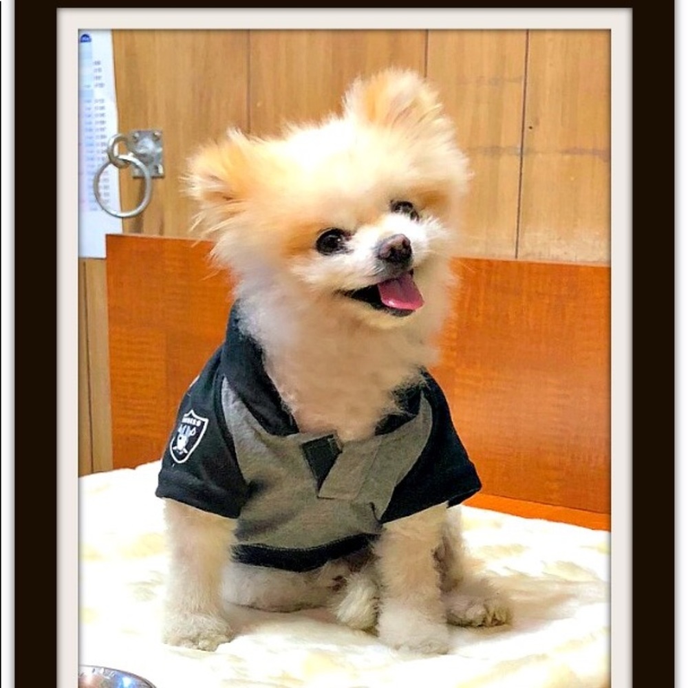 HURRY! MAKE AN OFFER NOW!